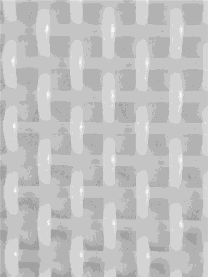 Polyester Plain Wire Mesh For Paper Mill